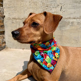 Matching Face Masks and Dog Bandanas Walk your dog in safety and style! 4 fabric designs  Can be Personalized